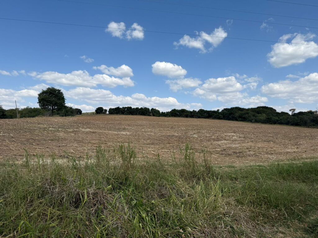 Fazenda – Área Rural de Passos - Imagem 3