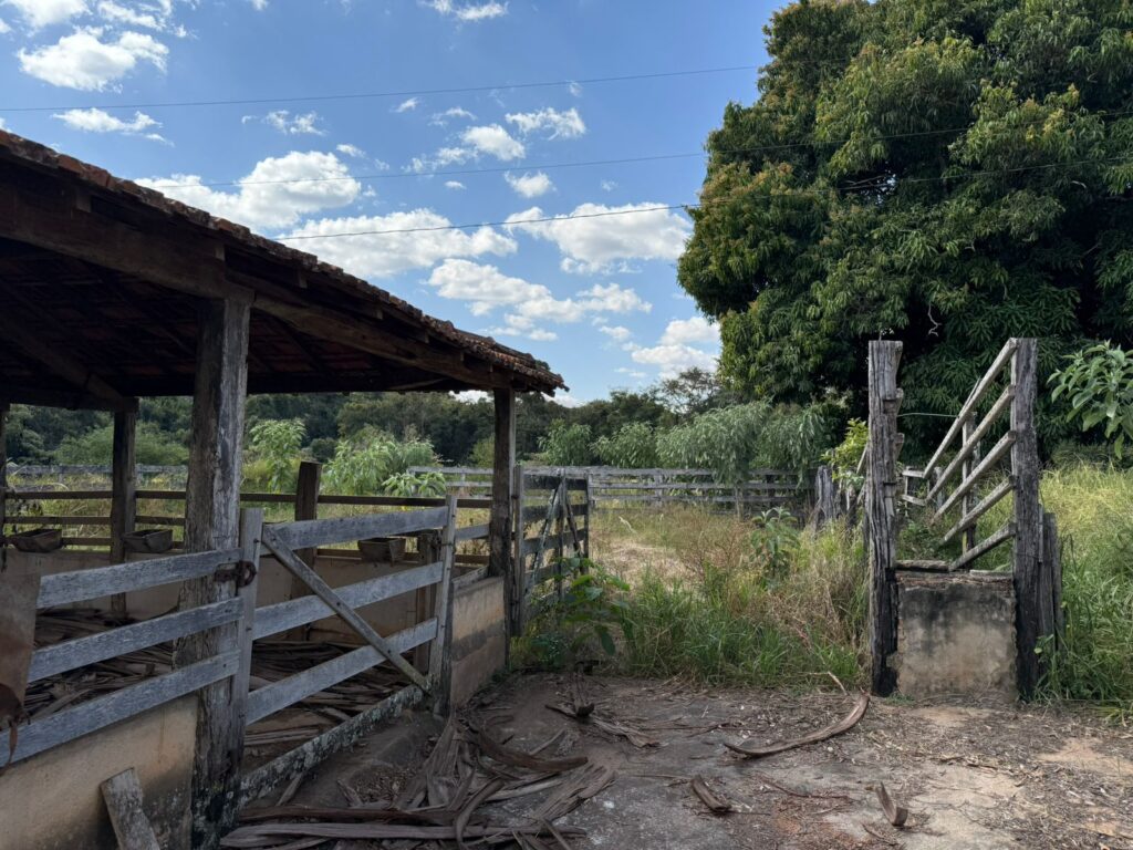 Fazenda – Área Rural de Passos - Imagem 8
