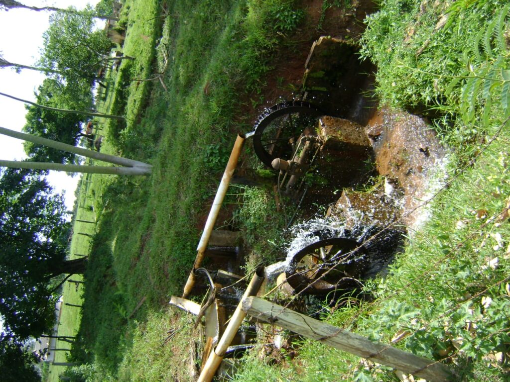 Fazenda – Passos - Imagem 6