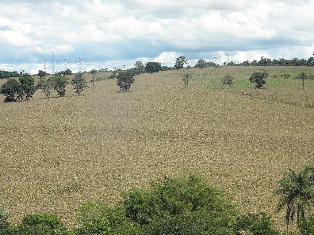 Fazenda – Passos - Imagem 9
