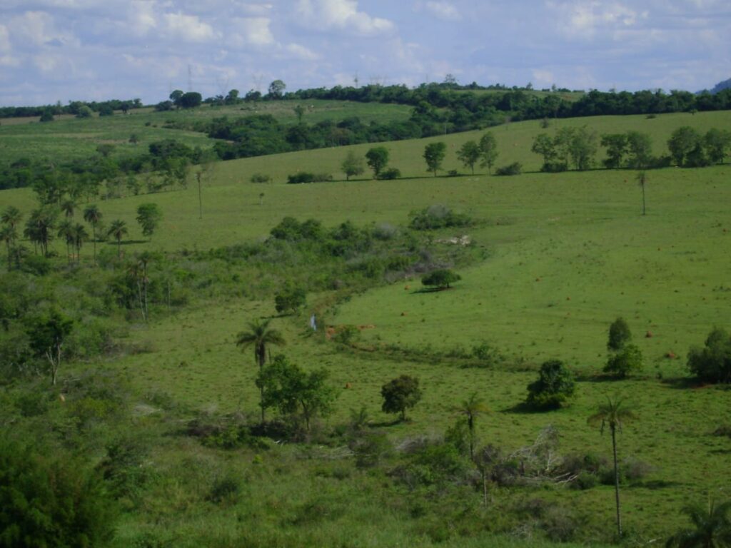 Fazenda – Passos - Imagem 1