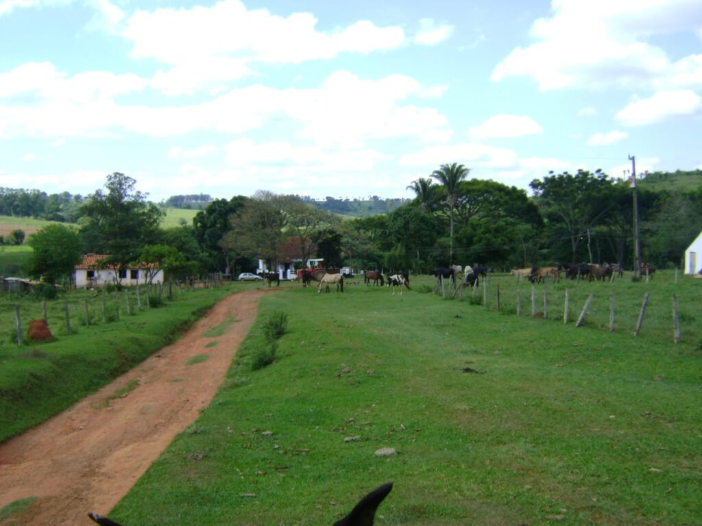 Fazenda – Passos - Imagem 8