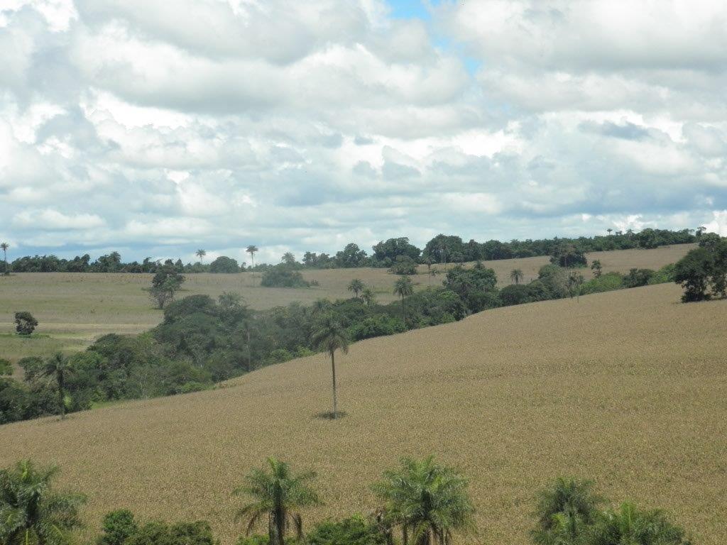 Fazenda – Passos - Imagem 11