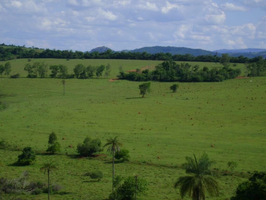 Fazenda – Passos - Imagem 3