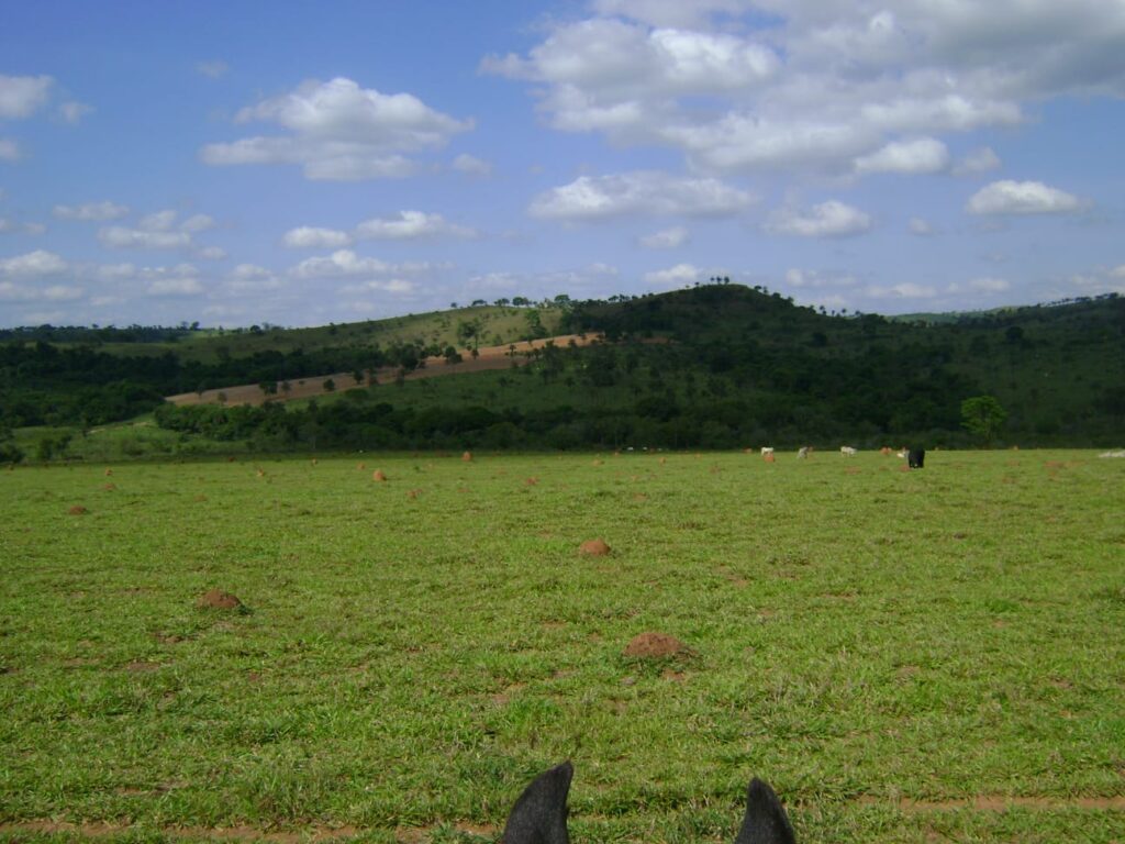 Fazenda – Passos - Imagem 4