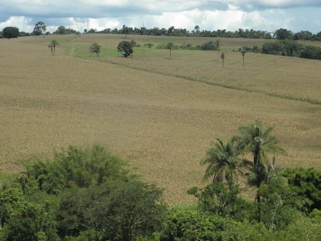 Fazenda – Passos - Imagem 12
