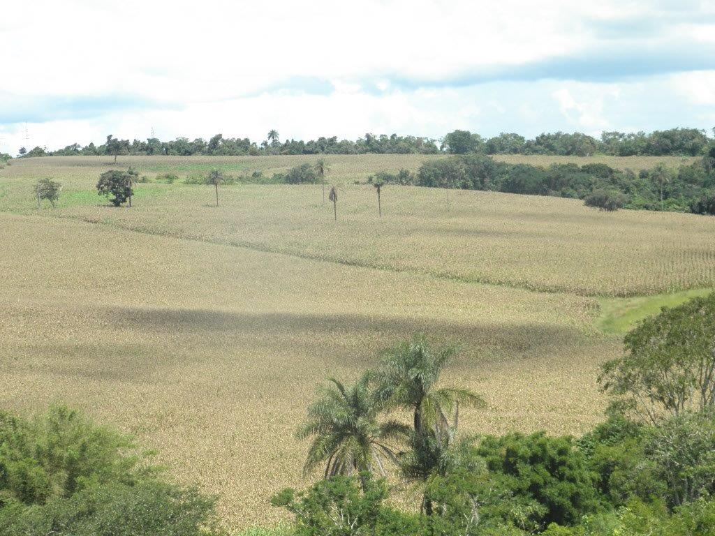 Fazenda – Passos - Imagem 10